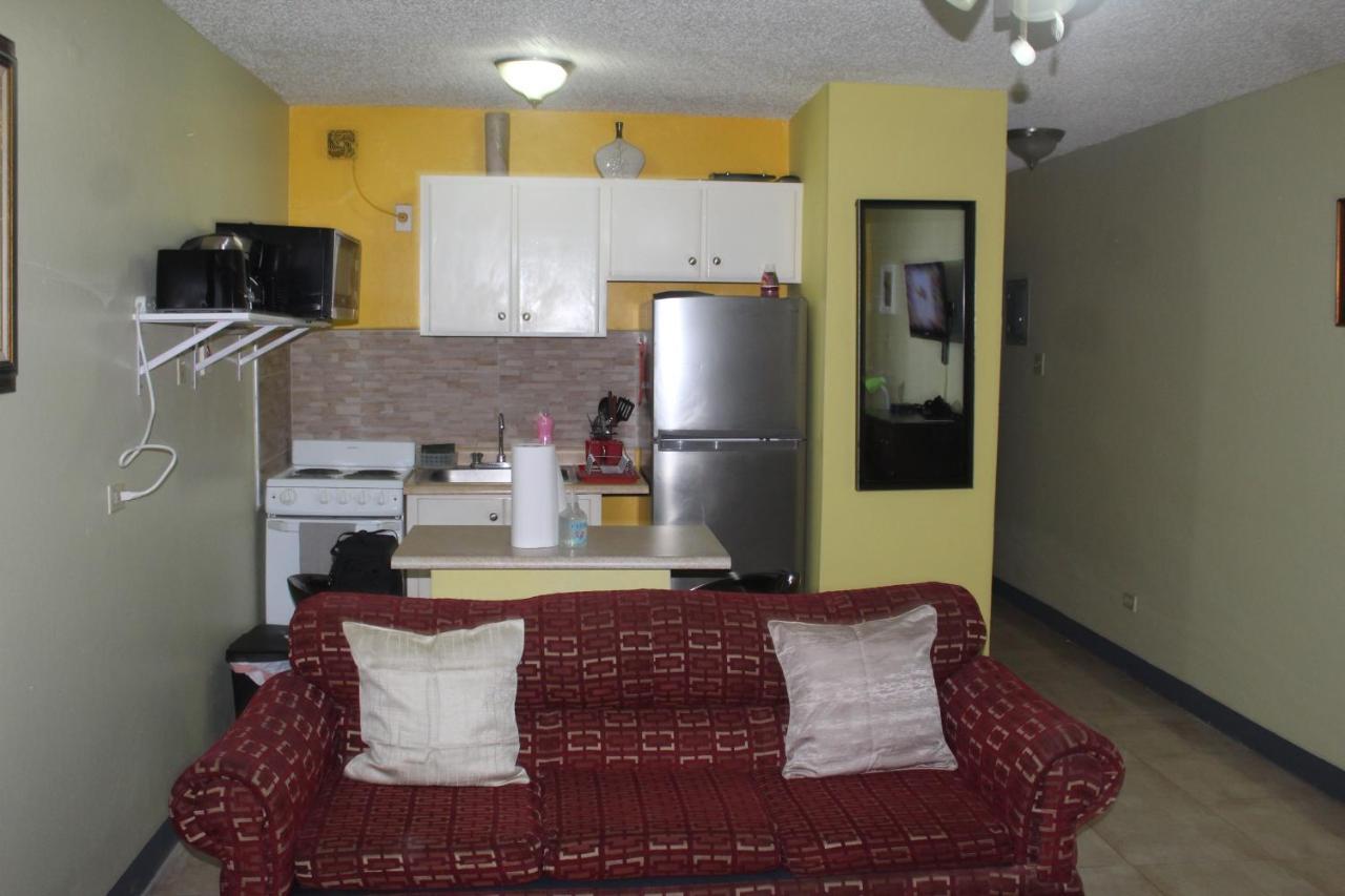 Comfy, Central & Elegant Studio New Kingston Dış mekan fotoğraf