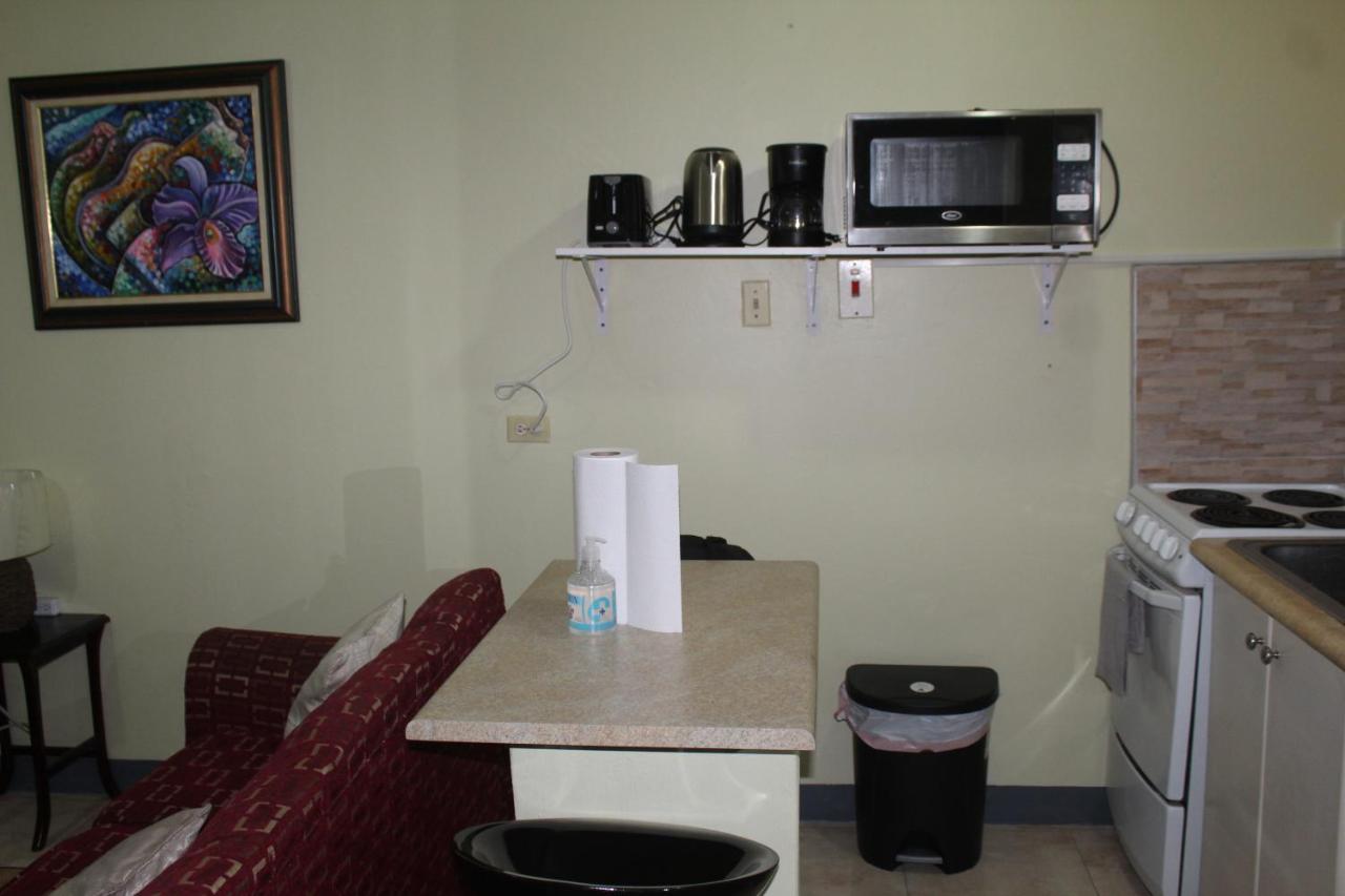 Comfy, Central & Elegant Studio New Kingston Dış mekan fotoğraf