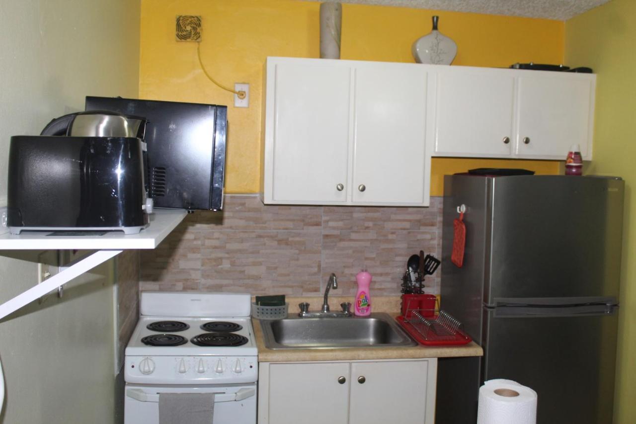 Comfy, Central & Elegant Studio New Kingston Dış mekan fotoğraf