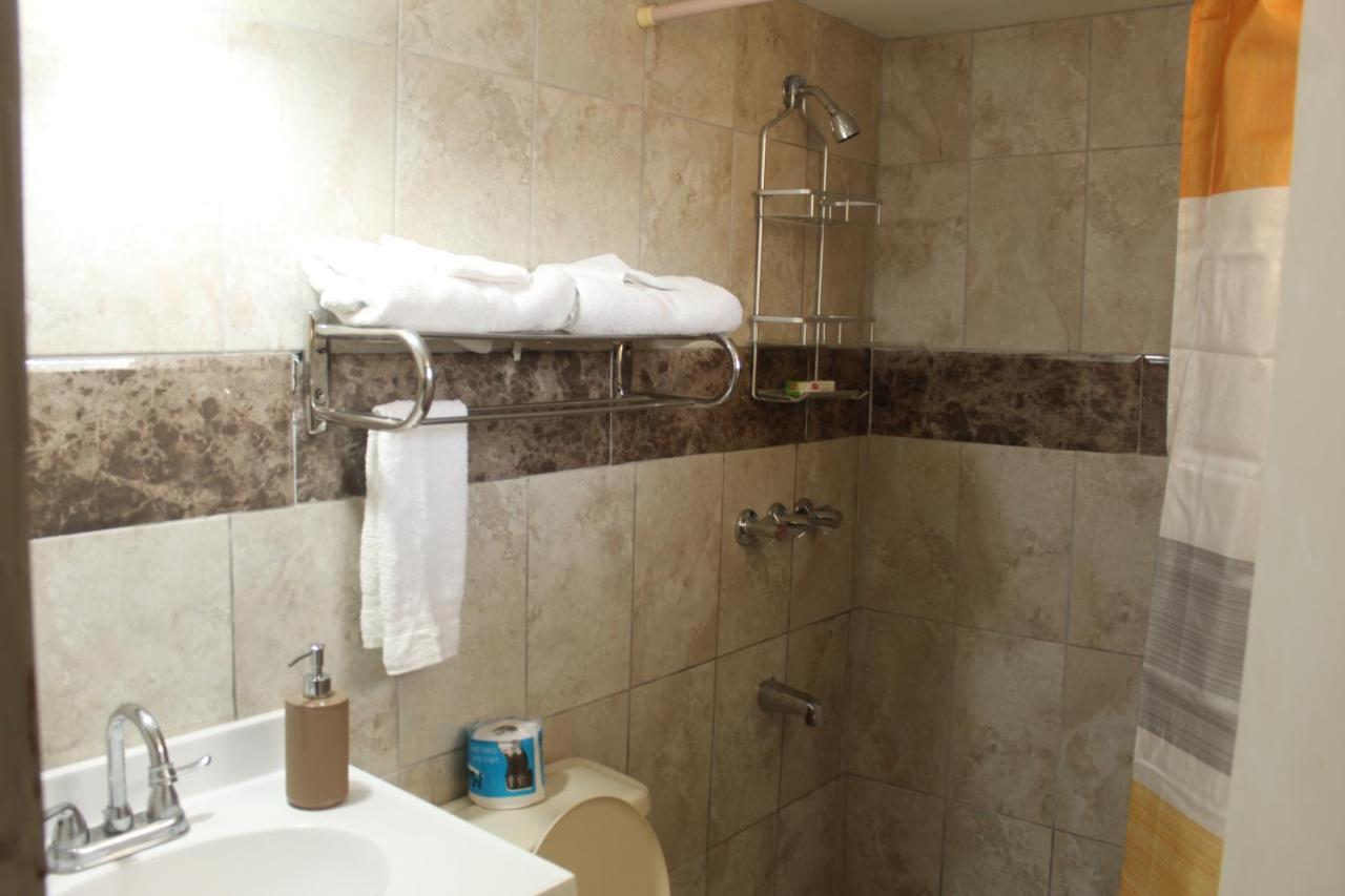 Comfy, Central & Elegant Studio New Kingston Dış mekan fotoğraf